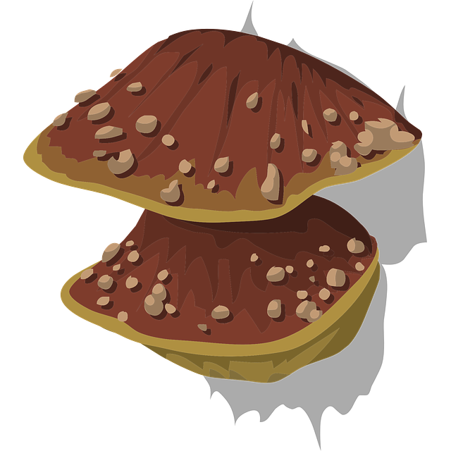 GANODERMA